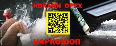 индика Шелехов