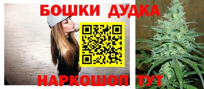 индика Шелехов