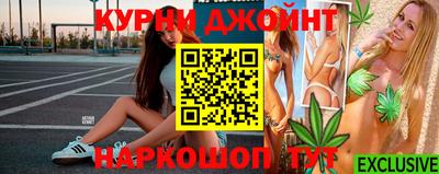 индика Шелехов