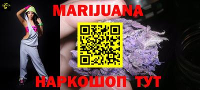 индика Шелехов
