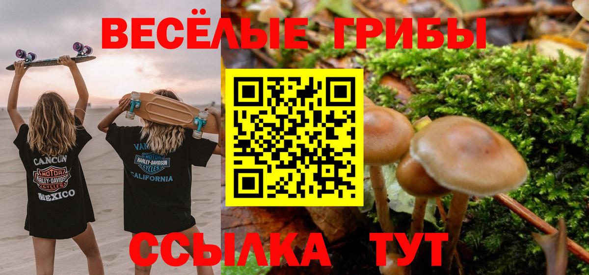 Галлюциногенные грибы Cubensis Можга
